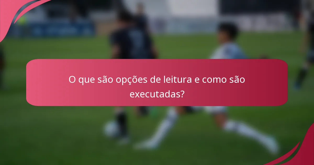 O que são opções de leitura e como são executadas?